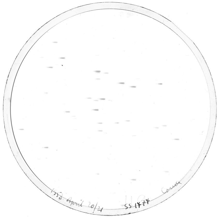Scan SS01474