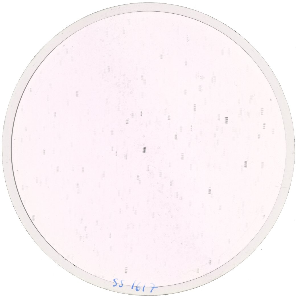 Scan SS01617