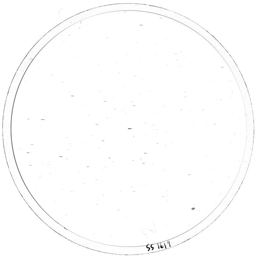 Scan SS01619