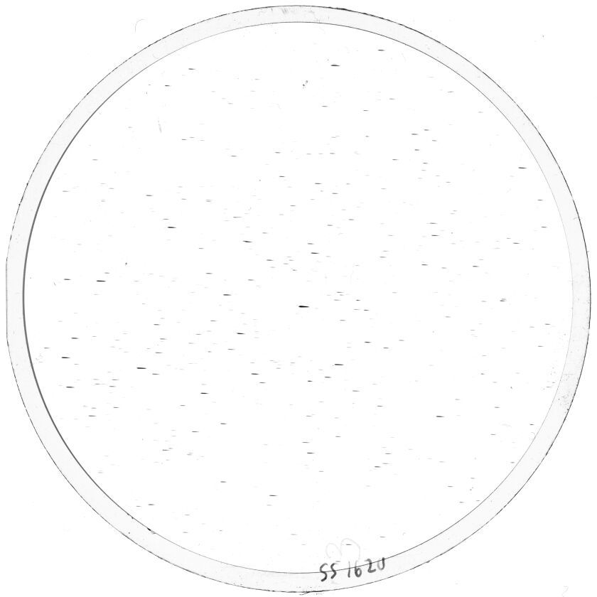 Scan SS01620