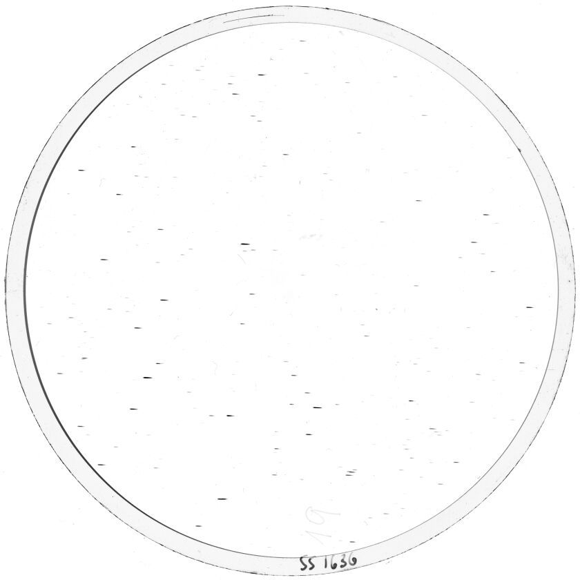 Scan SS01636