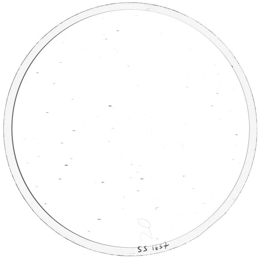 Scan SS01637