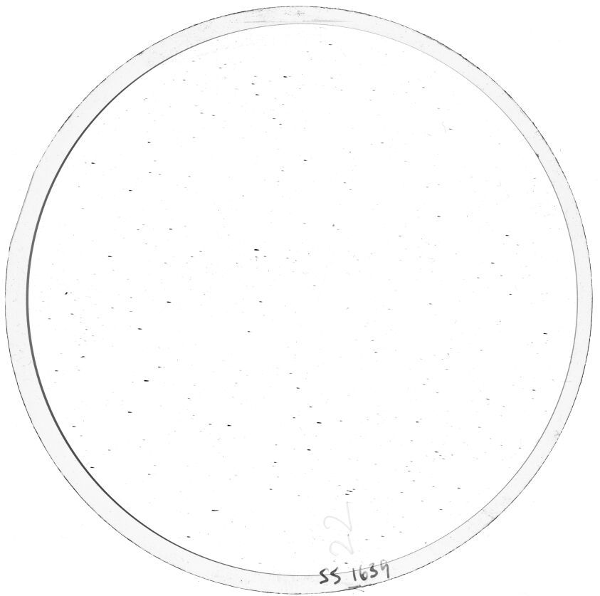 Scan SS01639