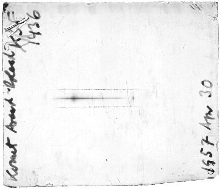 Scan STK1436F