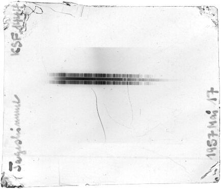 Scan STK1444F