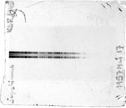 Scan STK1445F