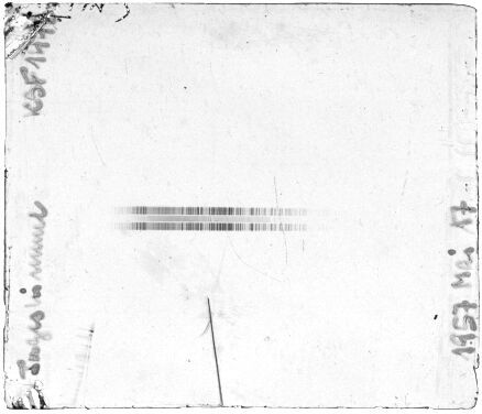 Scan STK1446F