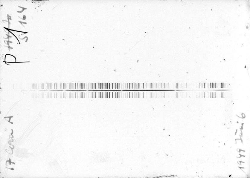 Scan STE0164