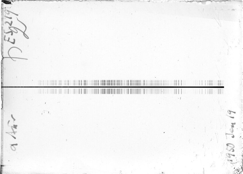 Scan STE0219