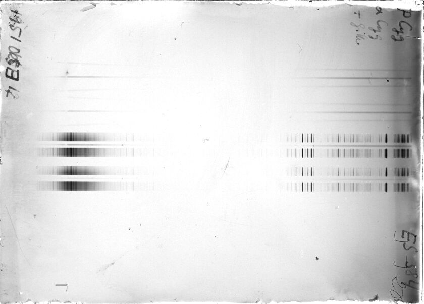 Scan STE0584