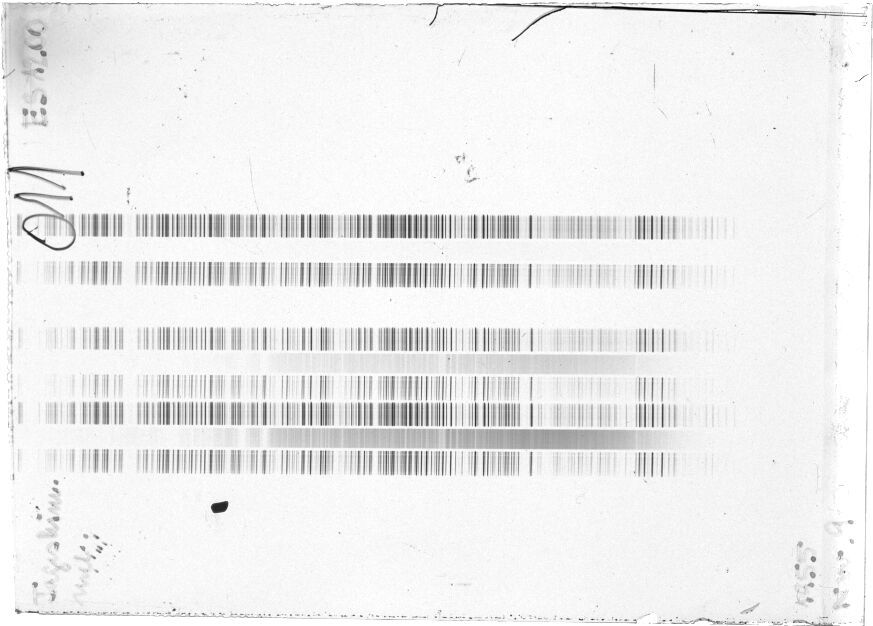 Scan STE1200
