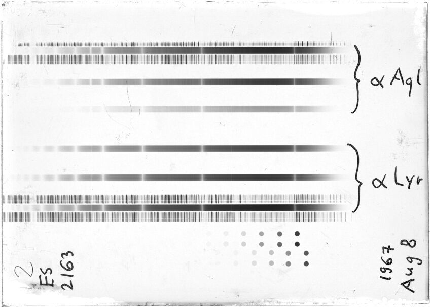 Scan STE2163