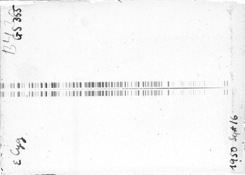 Scan STG0355