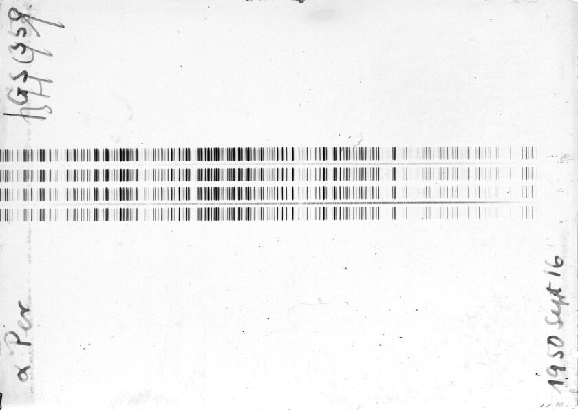 Scan STG0358