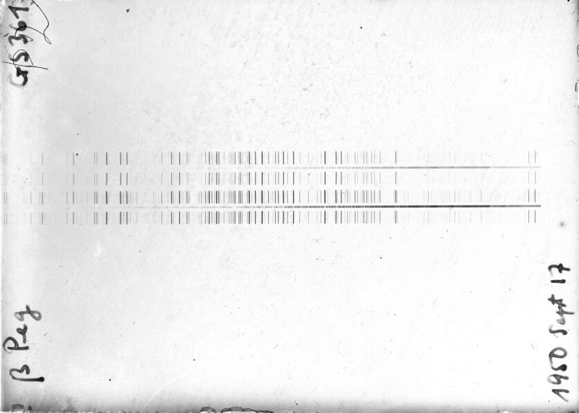 Scan STG0361