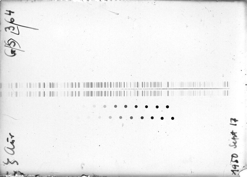 Scan STG0364