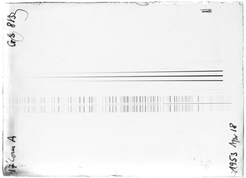 Scan STG0813