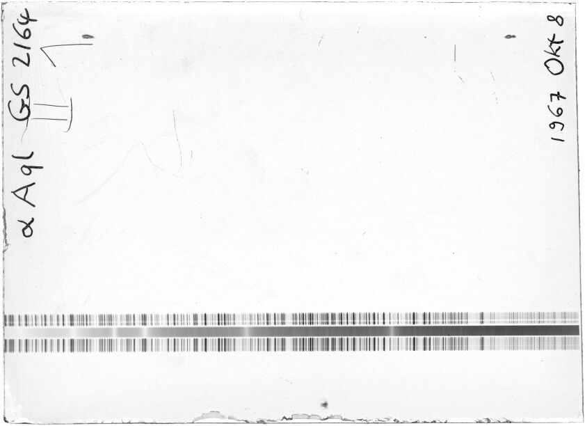Scan STG2164