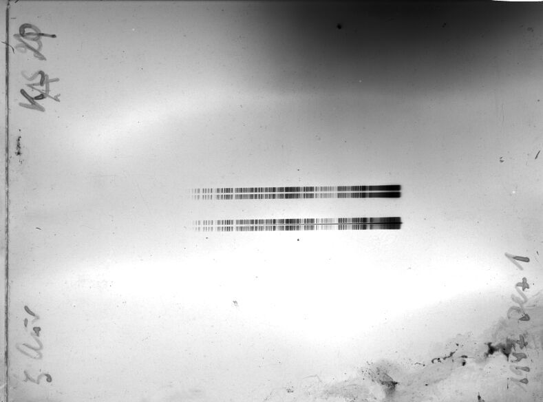 Scan STK0020