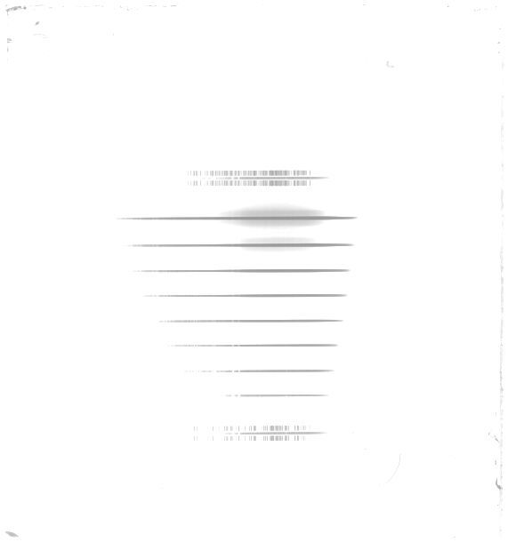 Scan STK0031