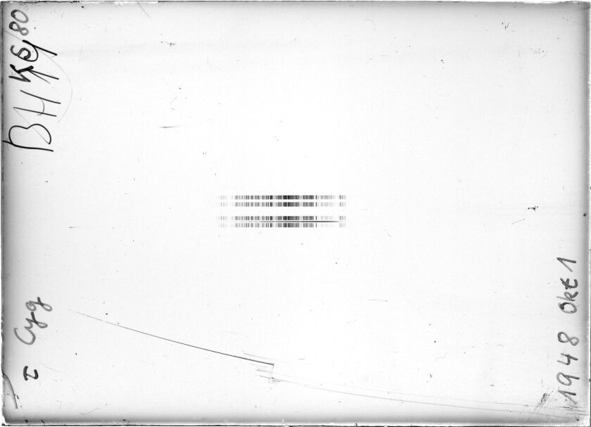 Scan STK0080