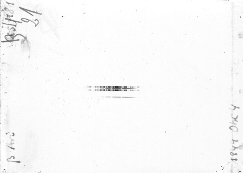 Scan STK0181