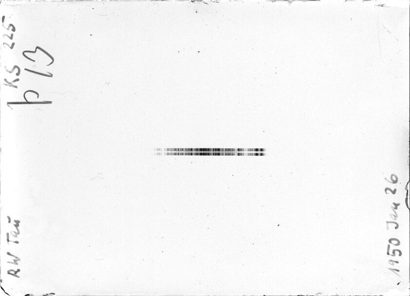 Scan STK0225