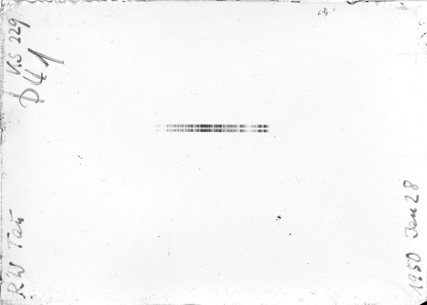 Scan STK0229