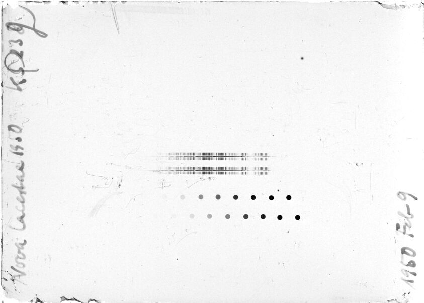Scan STK0238