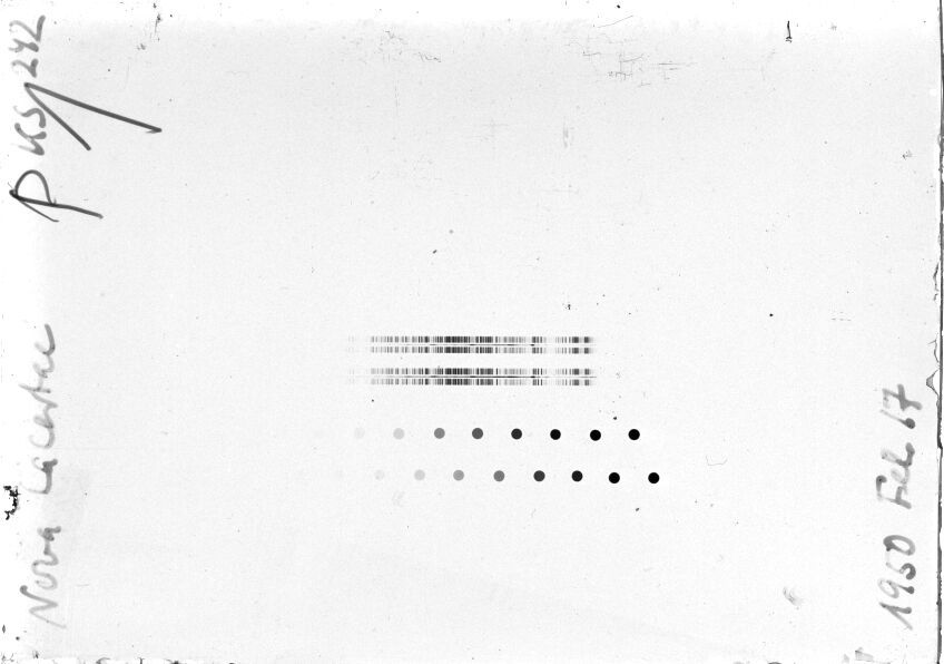 Scan STK0242