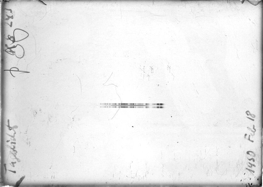 Scan STK0243