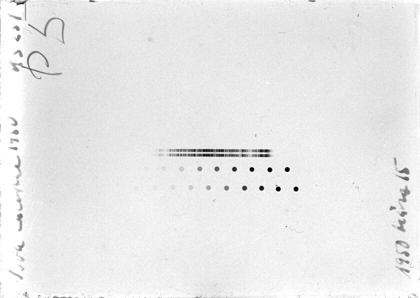 Scan STK0251