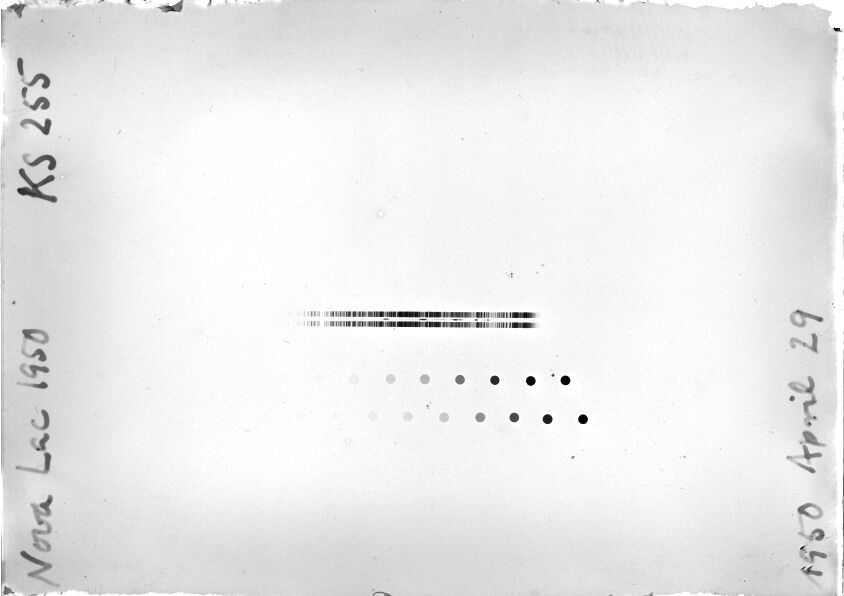 Scan STK0255