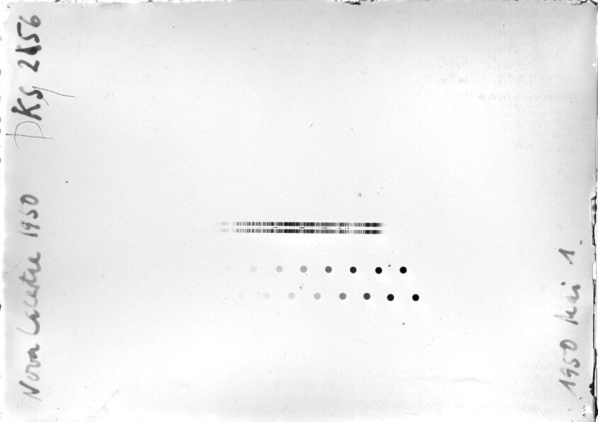 Scan STK0256