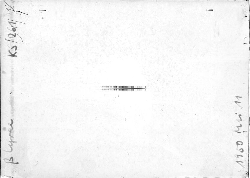 Scan STK0261