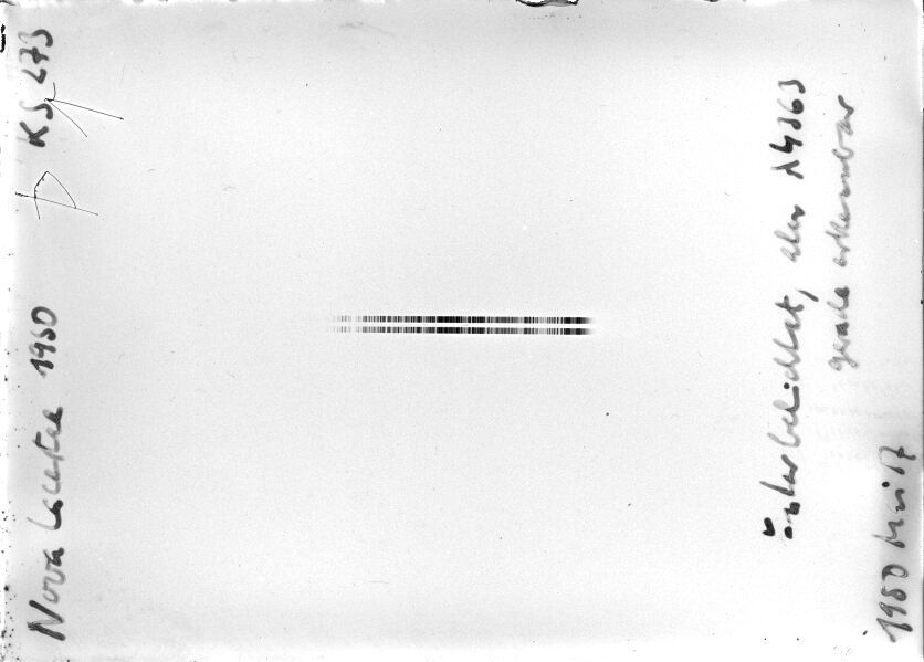 Scan STK0273