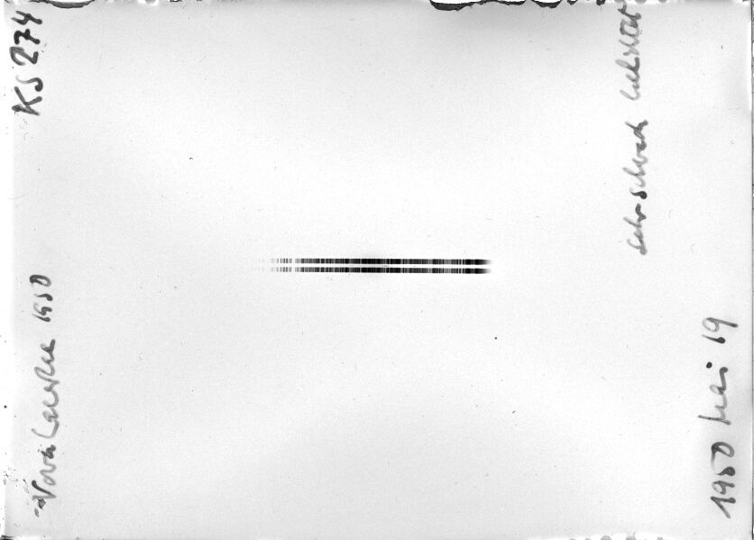 Scan STK0274