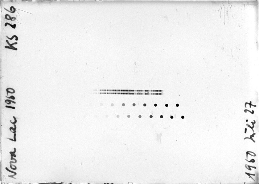 Scan STK0286