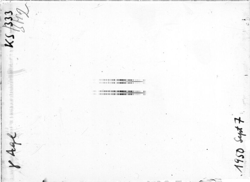 Scan STK0333