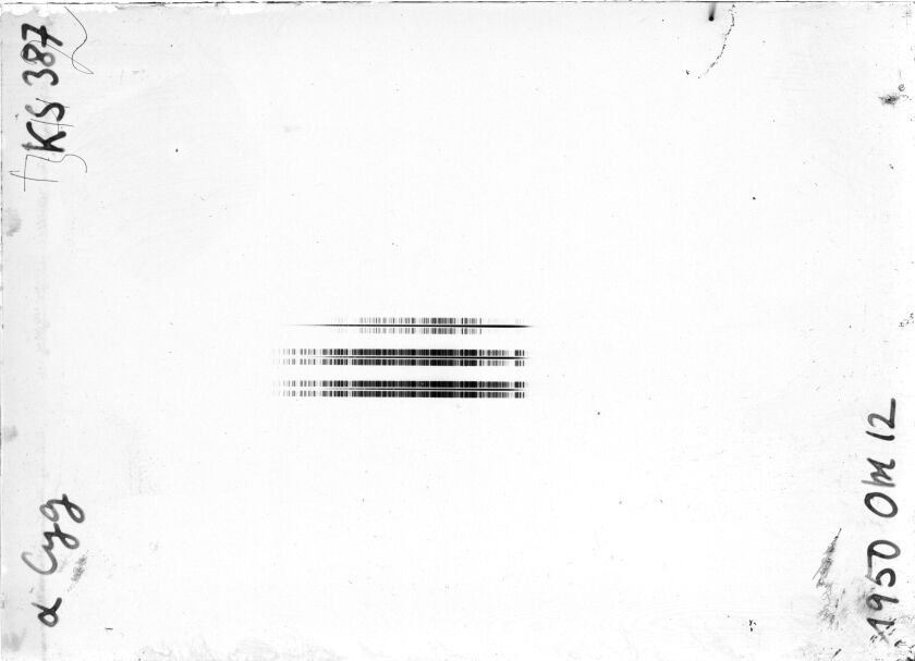Scan STK0387