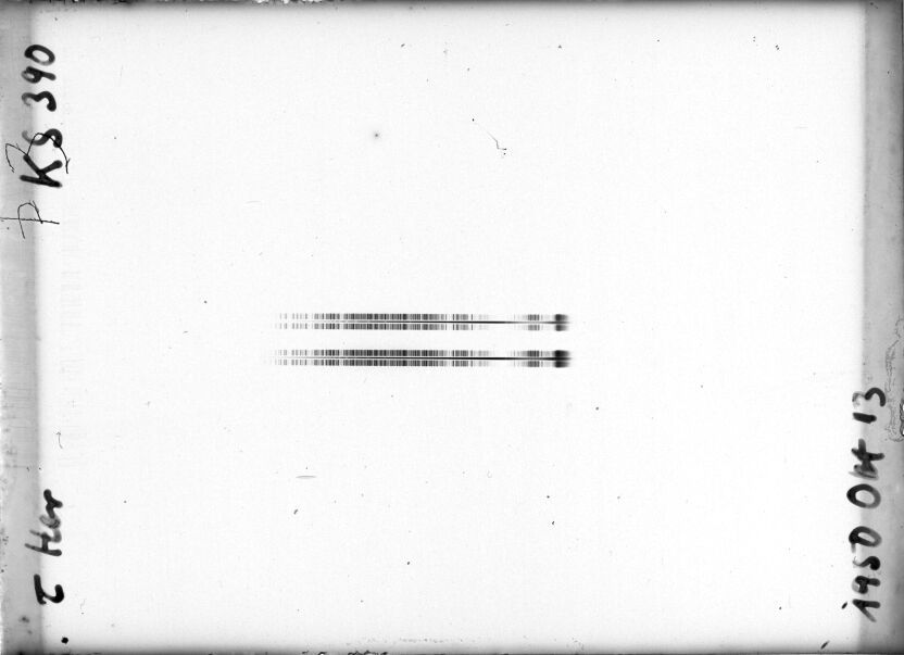 Scan STK0390