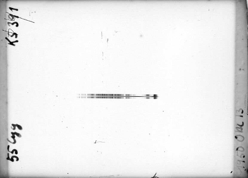 Scan STK0391