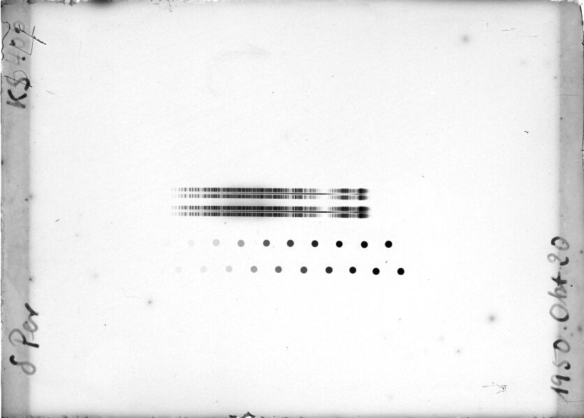 Scan STK0406
