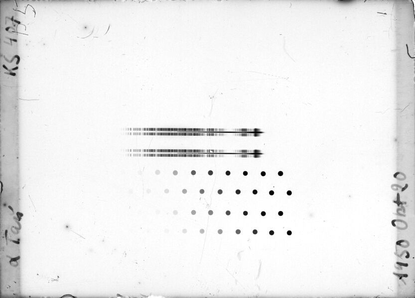Scan STK0407