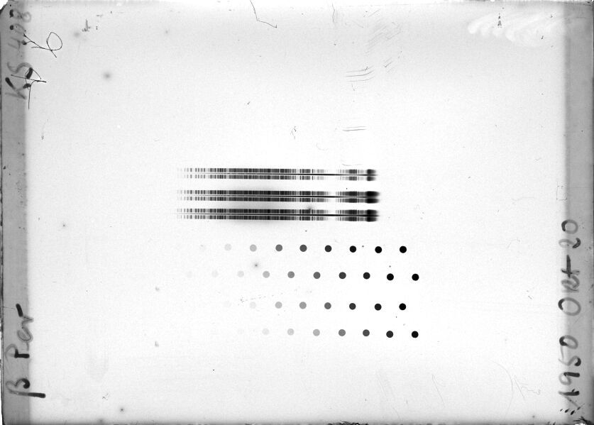 Scan STK0408