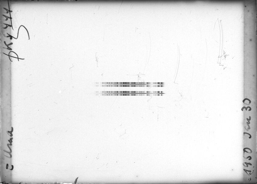 Scan STK0444
