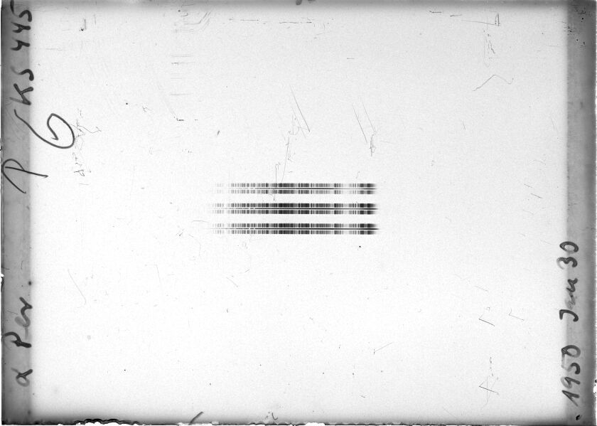 Scan STK0445