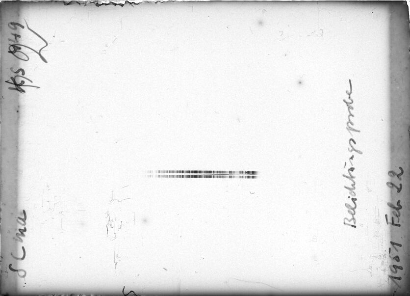 Scan STK0449