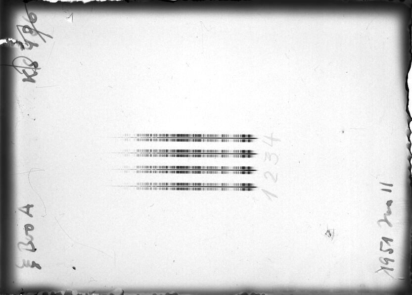 Scan STK0486