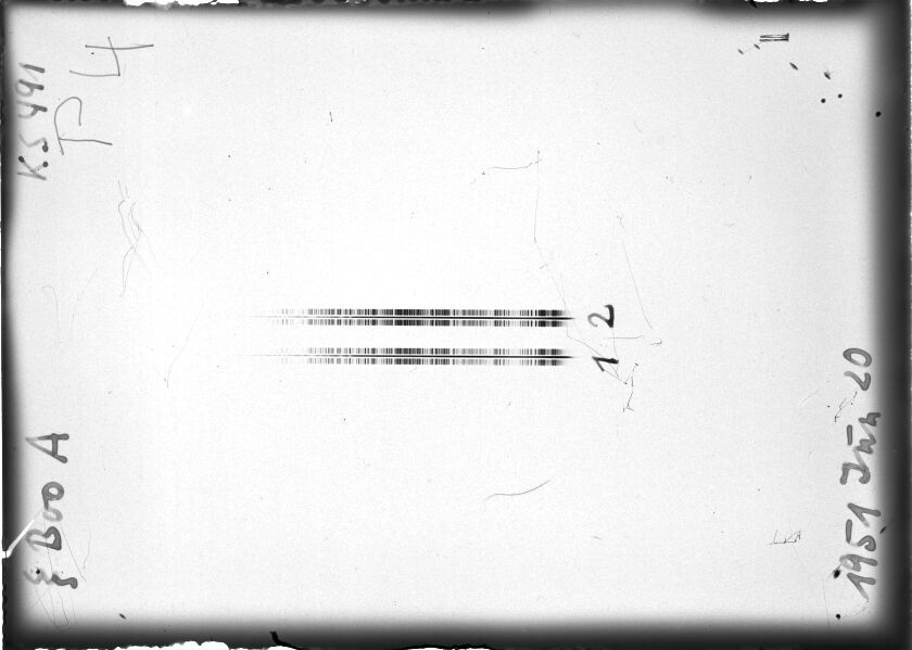 Scan STK0491